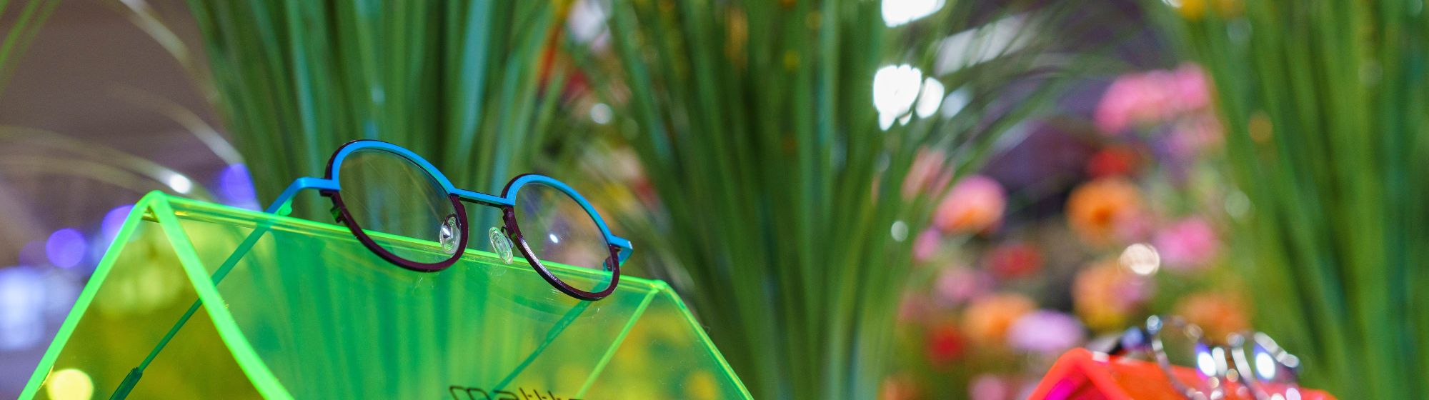 lunettes posées devant des plantes