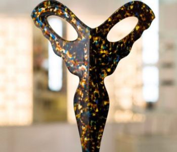 CSR Award trophy of SILMO Paris
